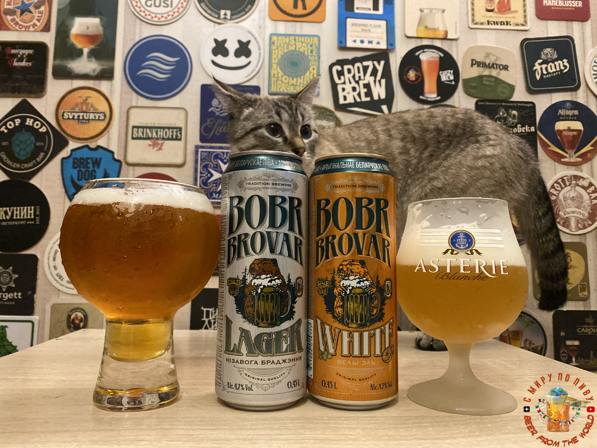 Обзор пива Bobr Brovar из Пятёрочки