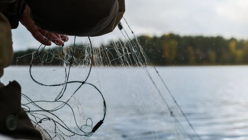    Фото: Ahaltekin4ik/Shutterstock/Fotodom