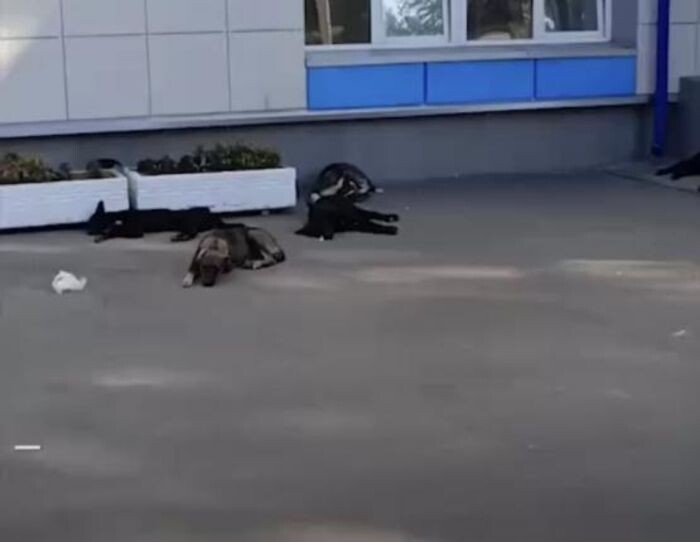 Источник фото: Don Mash