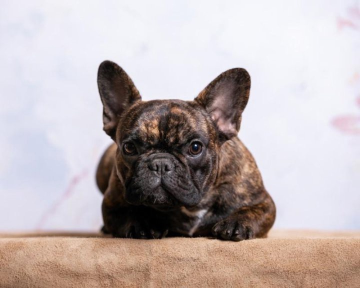 Это было необходимостью, а так я бы ни за что не оставил его одного.
