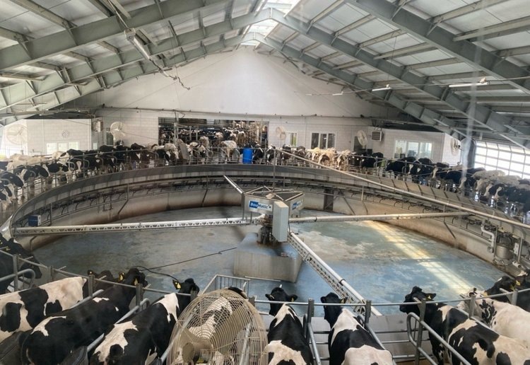    Фото: МСХ Пензенской области