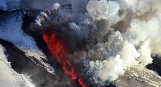 Фото: Яндекс картинки