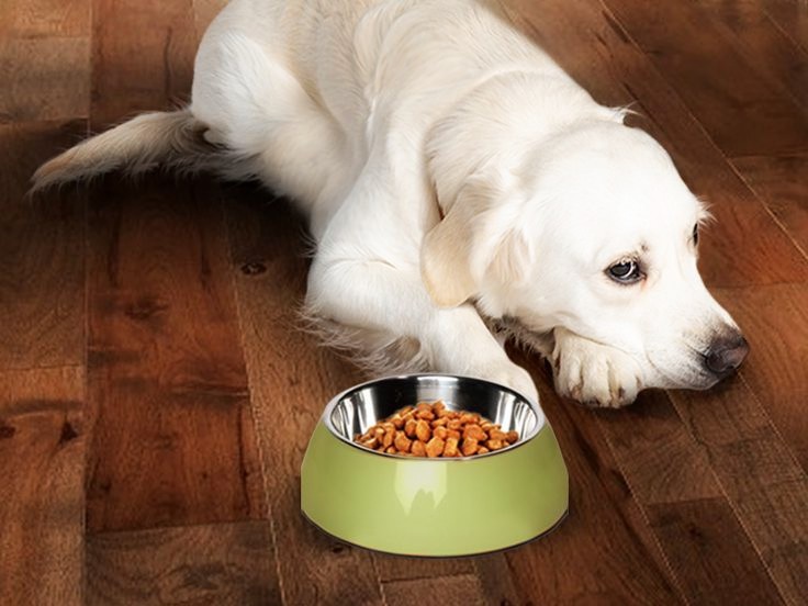 Не пытайтесь насильно кормить. Лучше дайте рядом быть вам. Это сейчас — важнее.
