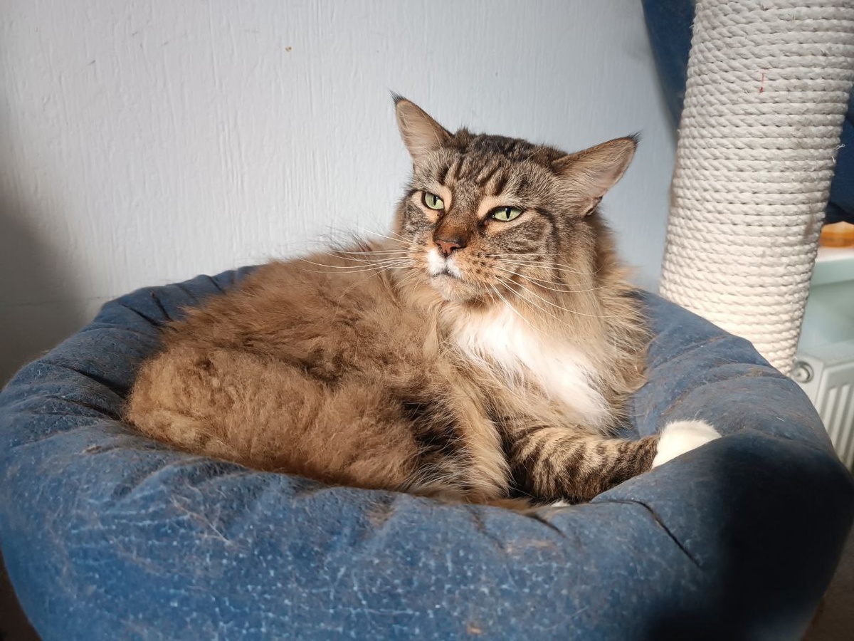 Это возмурщенная Туна