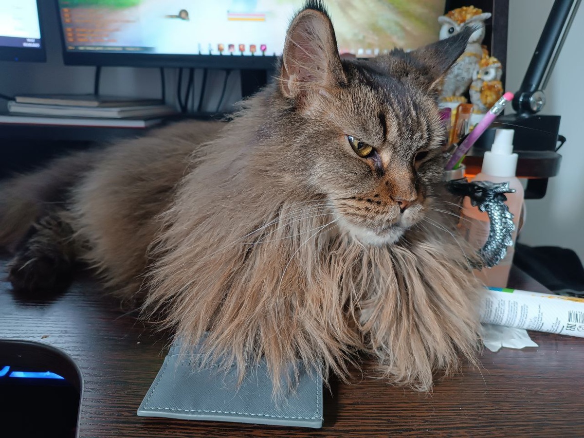 Это возмурщаюсь я