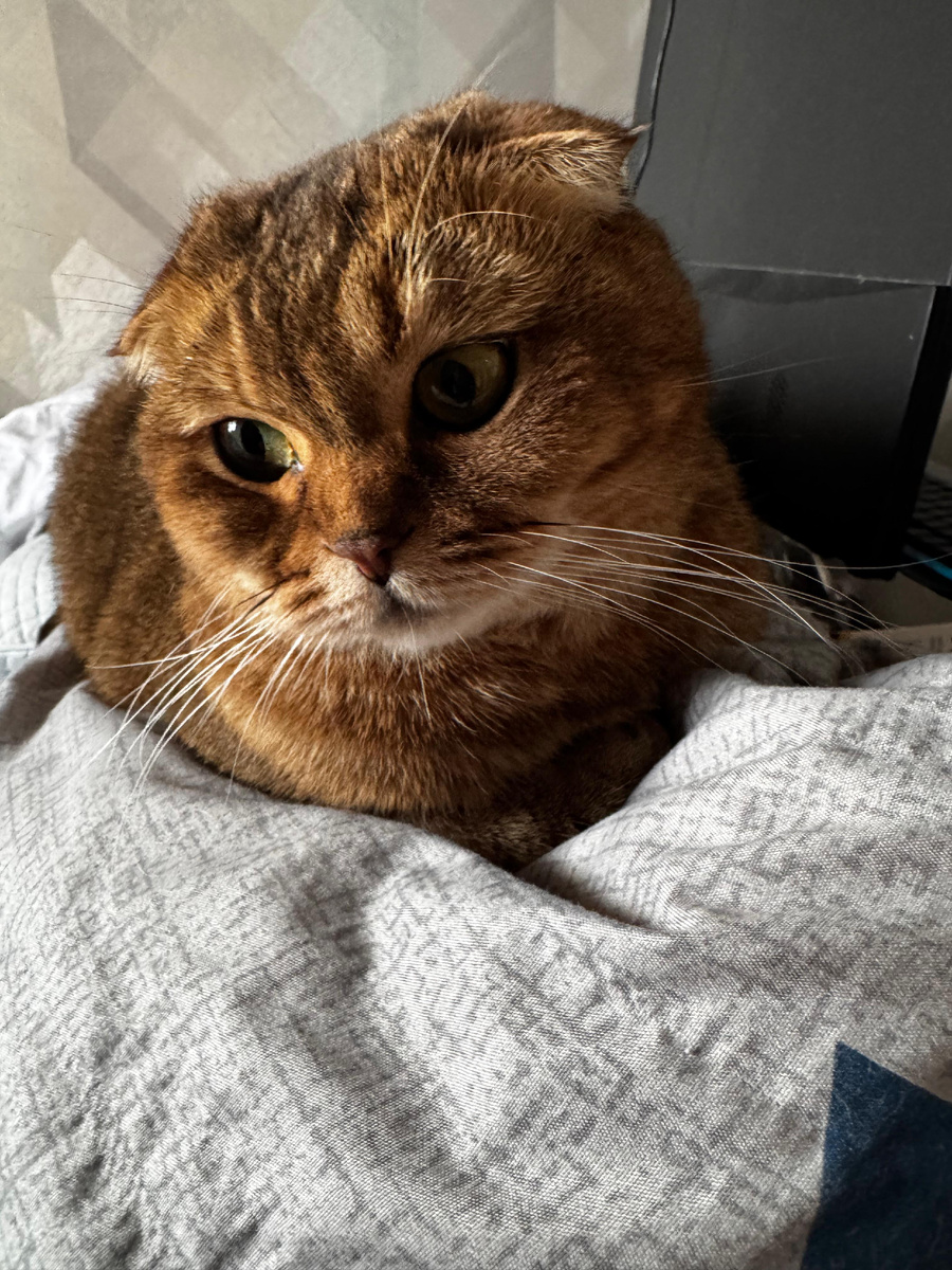 Из личного архива