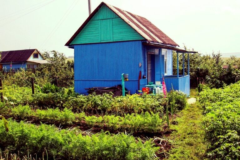    Фото: flickr.com/Artur Potosi 💦/Public domain Игорь Бережной