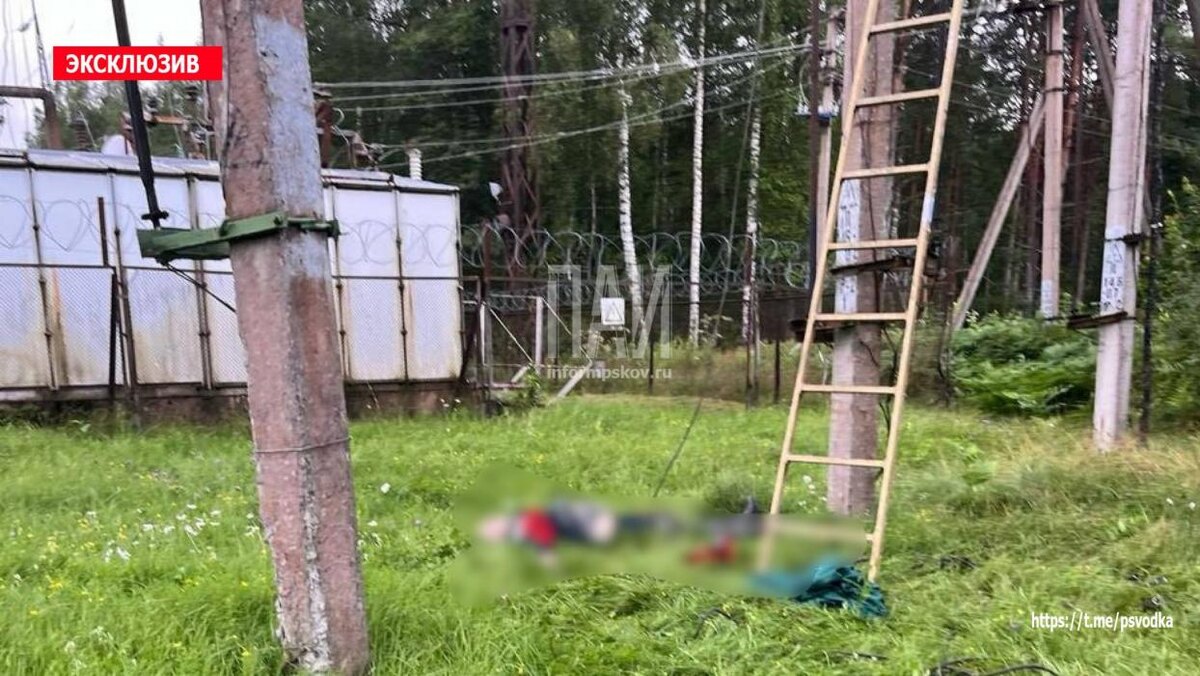 Трагедия в Гдовском районе
Фото: Telegram-канал «Псковская сводка. ПАИ»