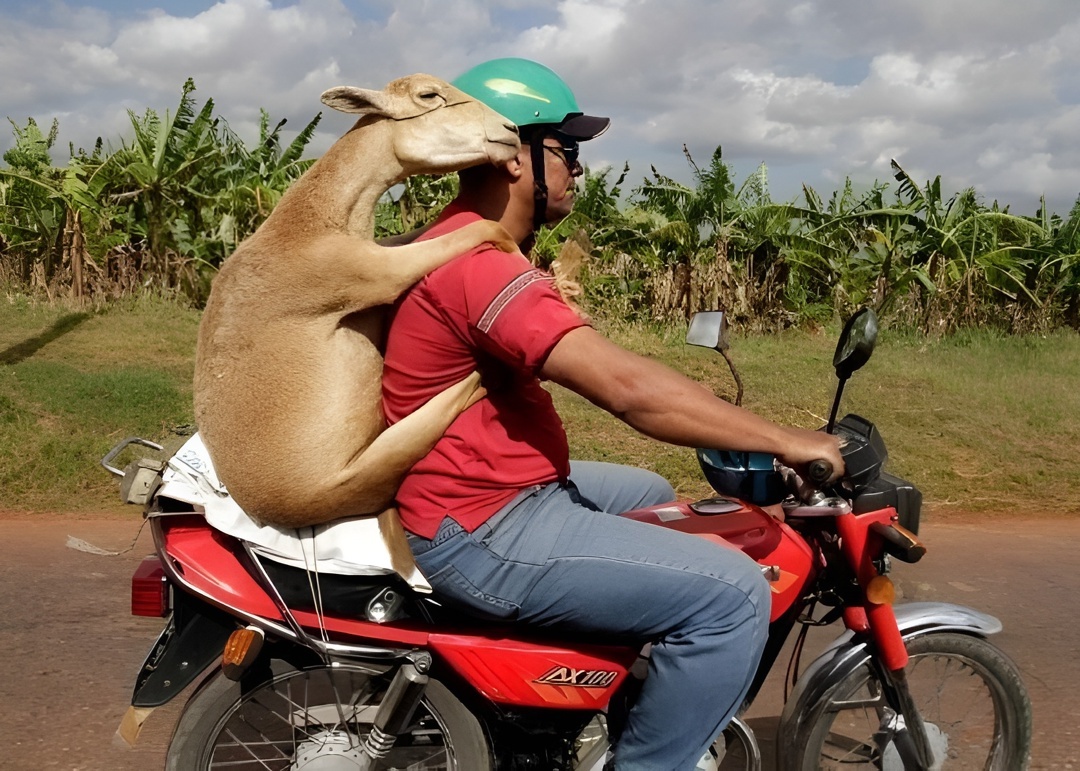 Типажи двоек глазами мотоциклиста