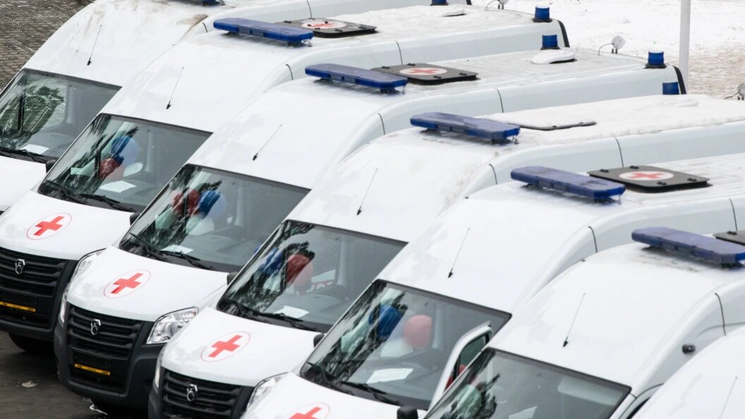    ФОТО: Ilya Moskovets/Globallookpress