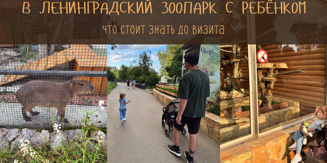 В Ленинградский зоопарк с ребёнком: что стоит знать до визита
