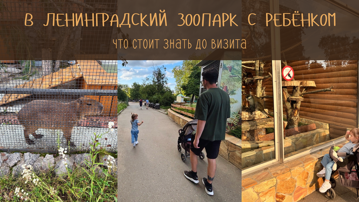 В Ленинградский зоопарк с ребёнком: что стоит знать до визита