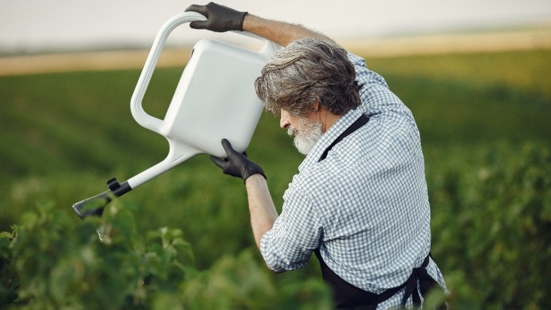      Фото: @prostooleh / freepik.com