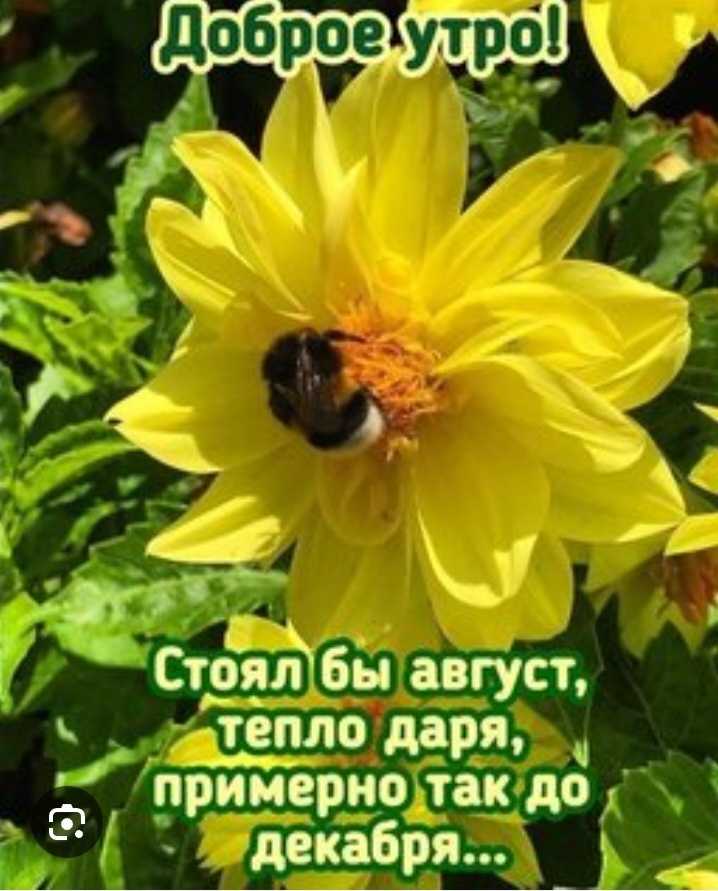 Источник инет.