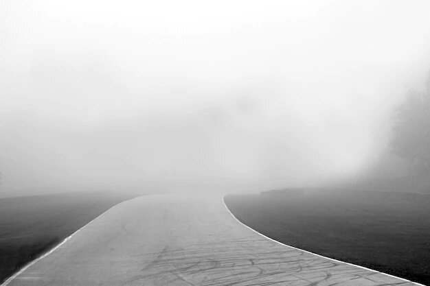    Фото: ru.freepik.com Анфиса Слепцова