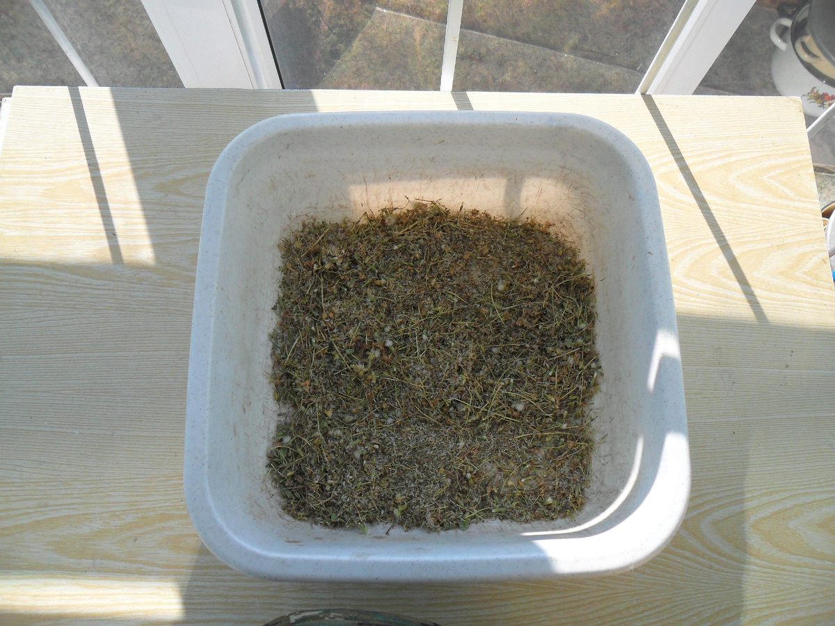 Как самостоятельно заготовить семена овощей: практическое руководство