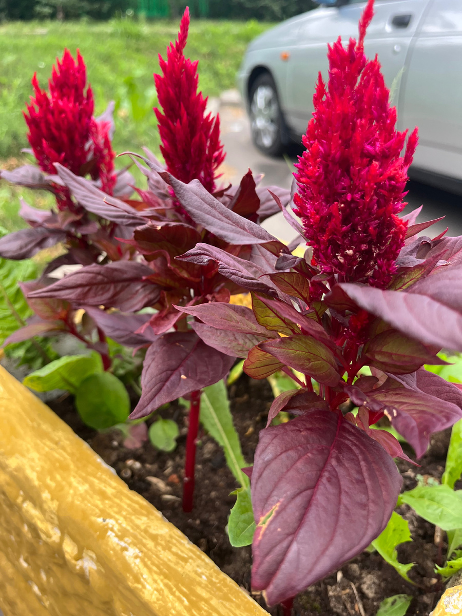 Фото автора. 