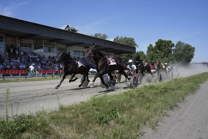 Фото: Минсельхозпрод Хакасии
