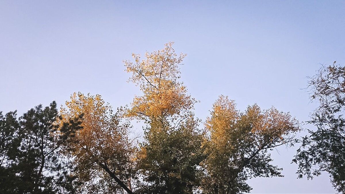     Источник: 1MI