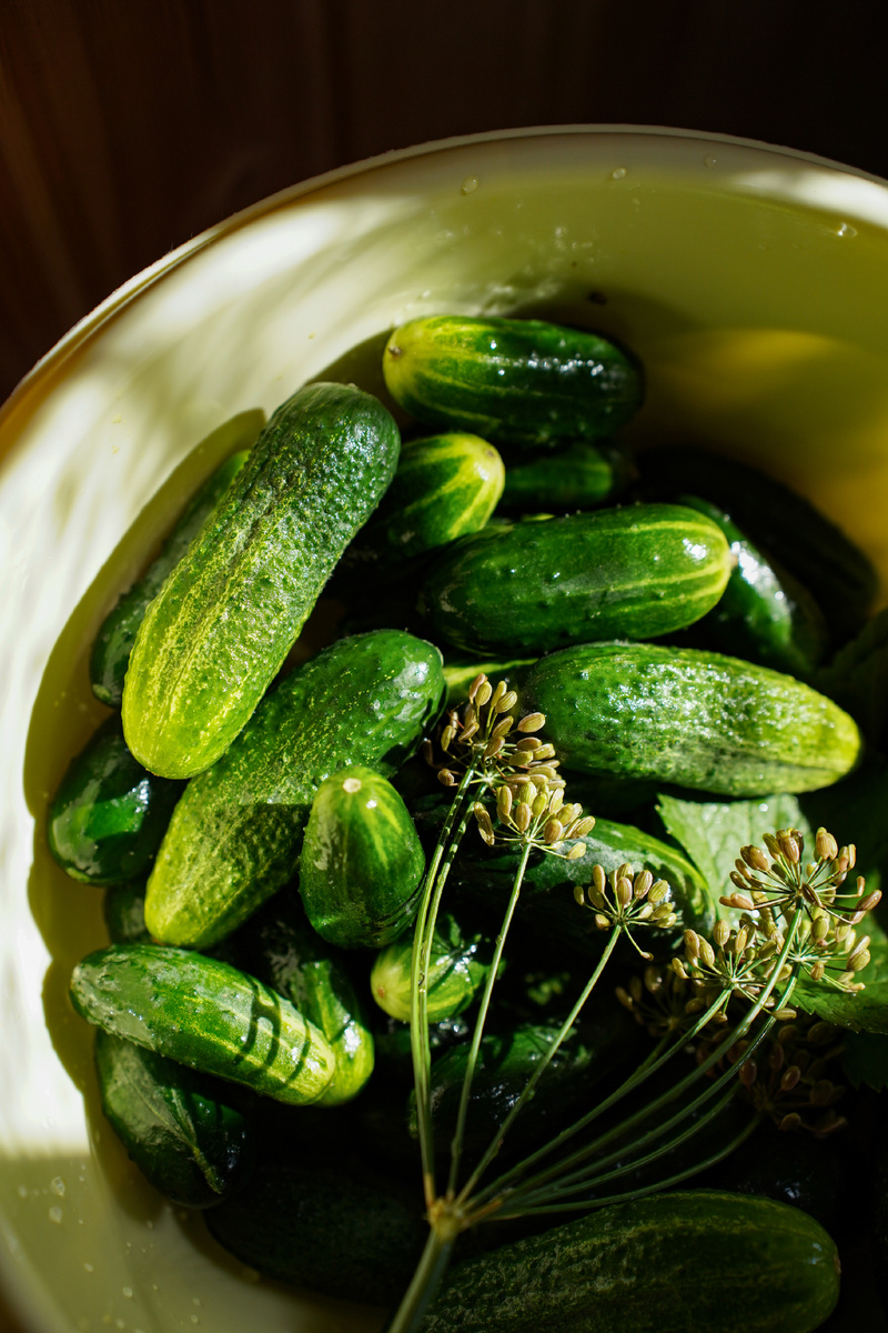 Огурцы свежие, семена укропа, листья смородины