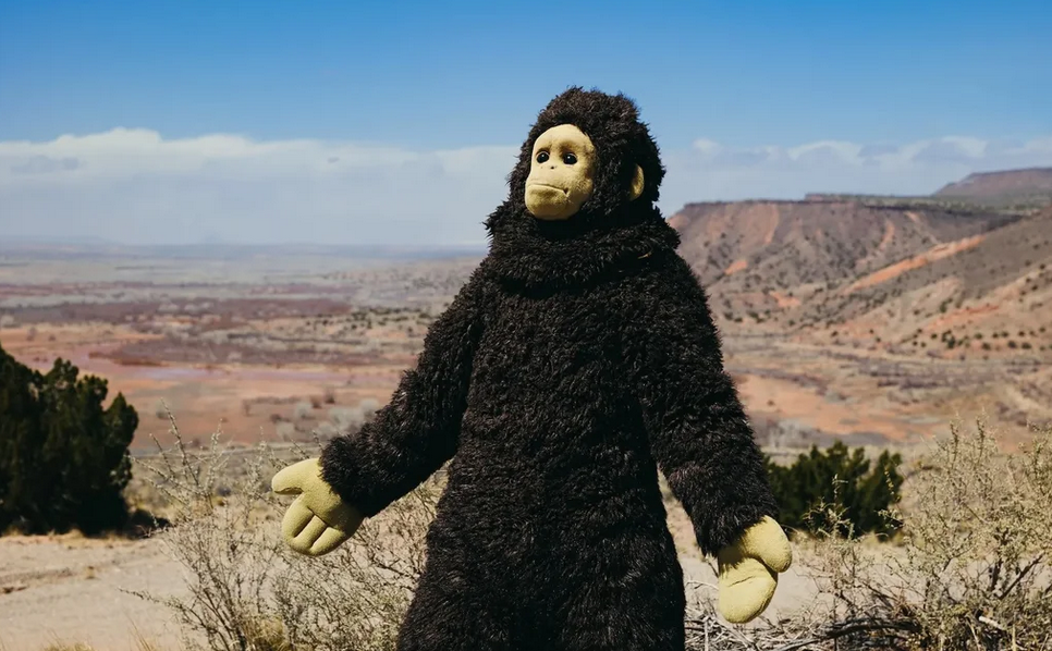 Листайте кадры.