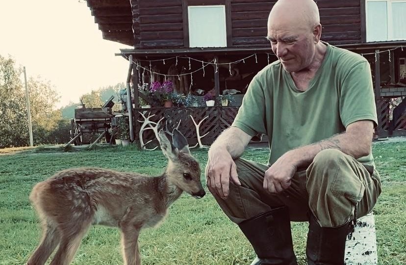 Спасённая из пожара косулёнок Маша освоилась в заказнике "Аргалейский"