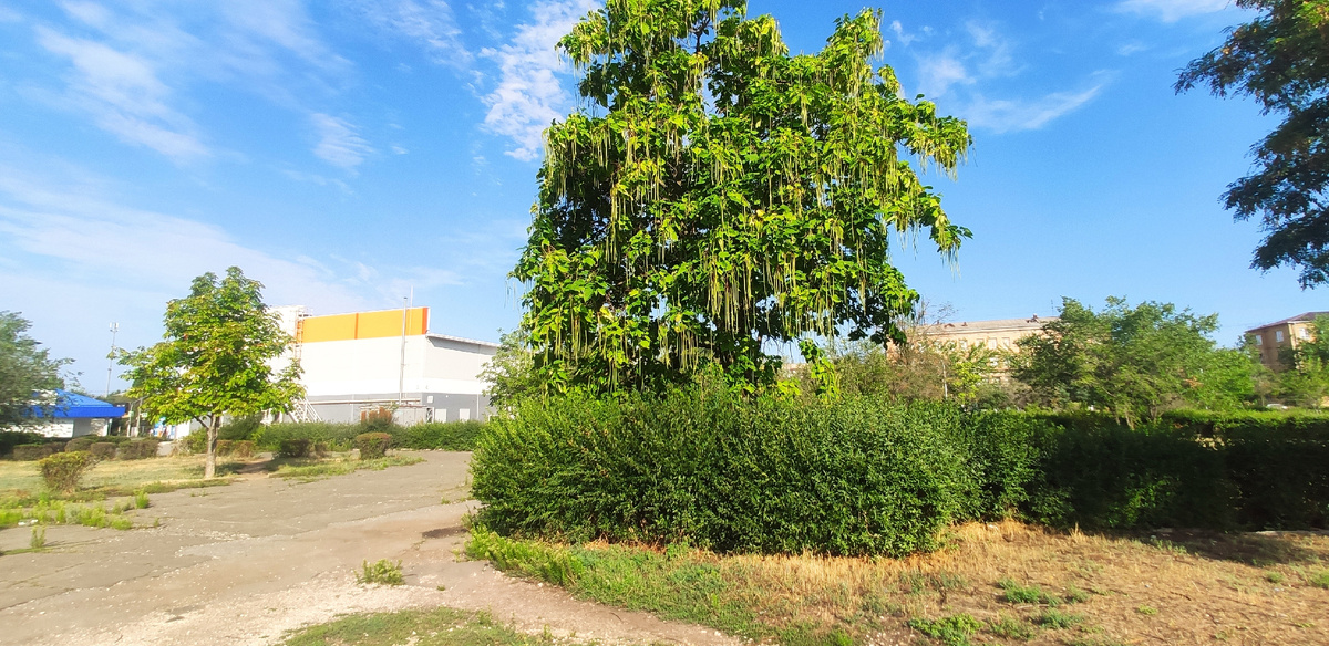 Ну что то стригут конечно 