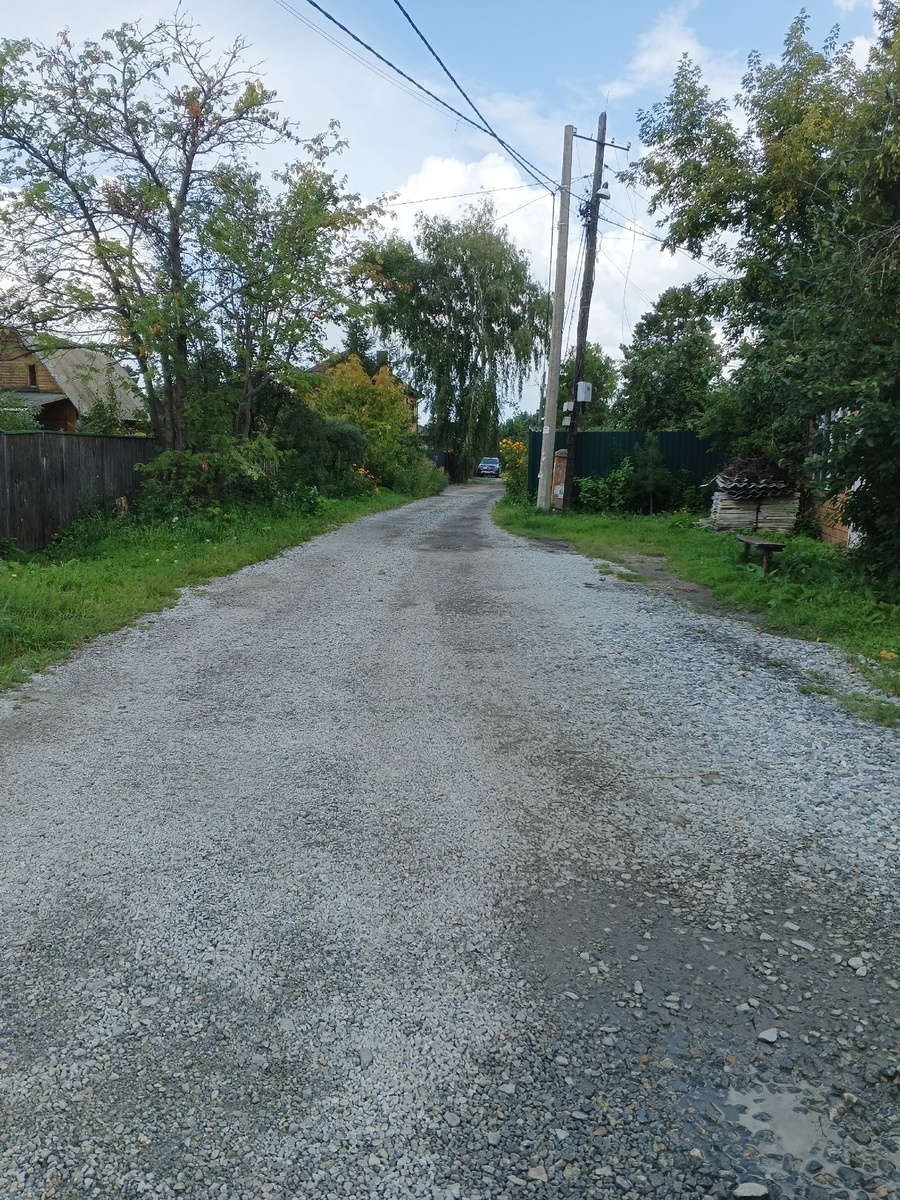 Аллея образца 2.08.2025