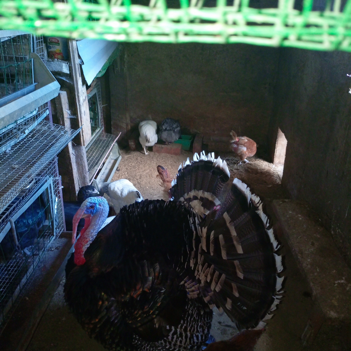 Фото из архива нашего лпх. Иваныч.