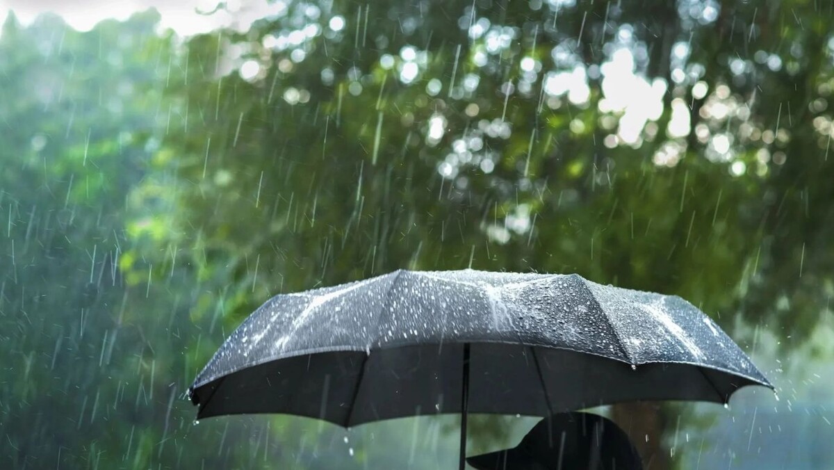    Фото: Niyom Napalai / shutterstock.com / Fotodom