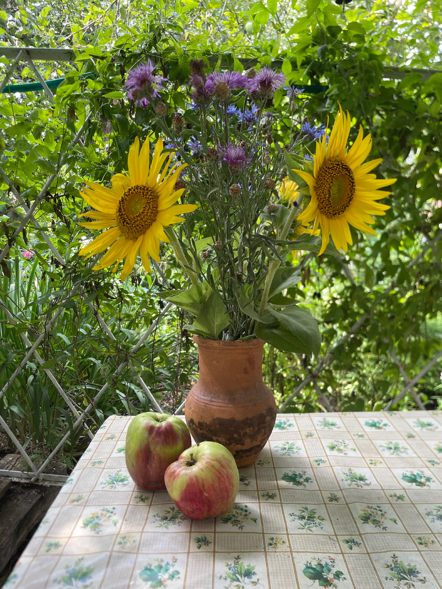 Полевой букет
