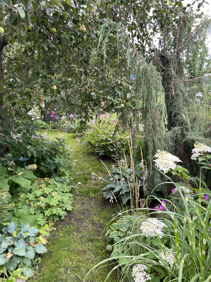 Неидеальный сад