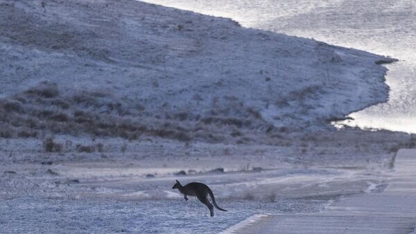    © Getty Images / Brook Mitchell