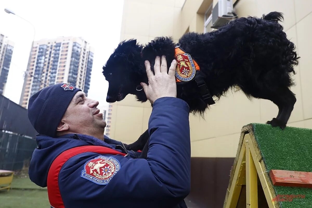    В Новосибирске открыли памятник служебным собакам