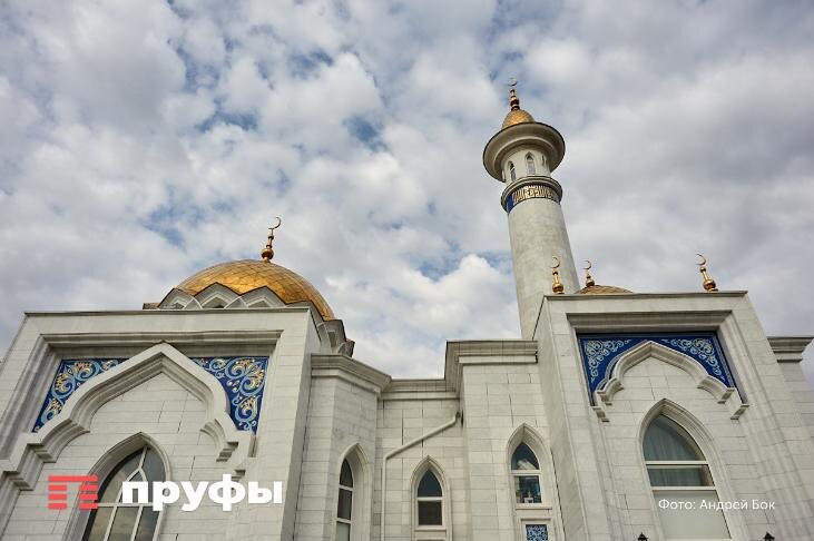    Фото: Пруфы.рф