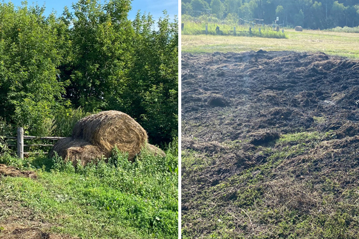    Коллаж «Тогучинская газета»