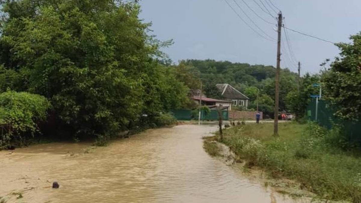    Фото: Telegram / Сергей Белопольский