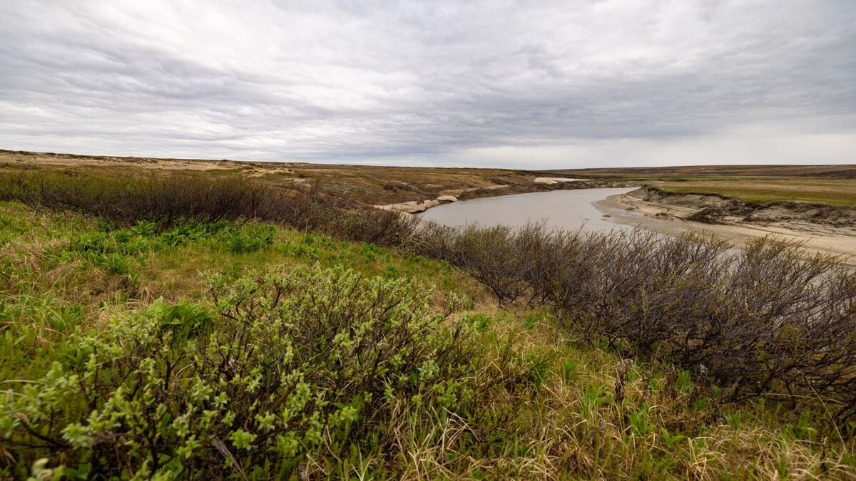    Фото: Сергей Зубков/«Ямал-Медиа»