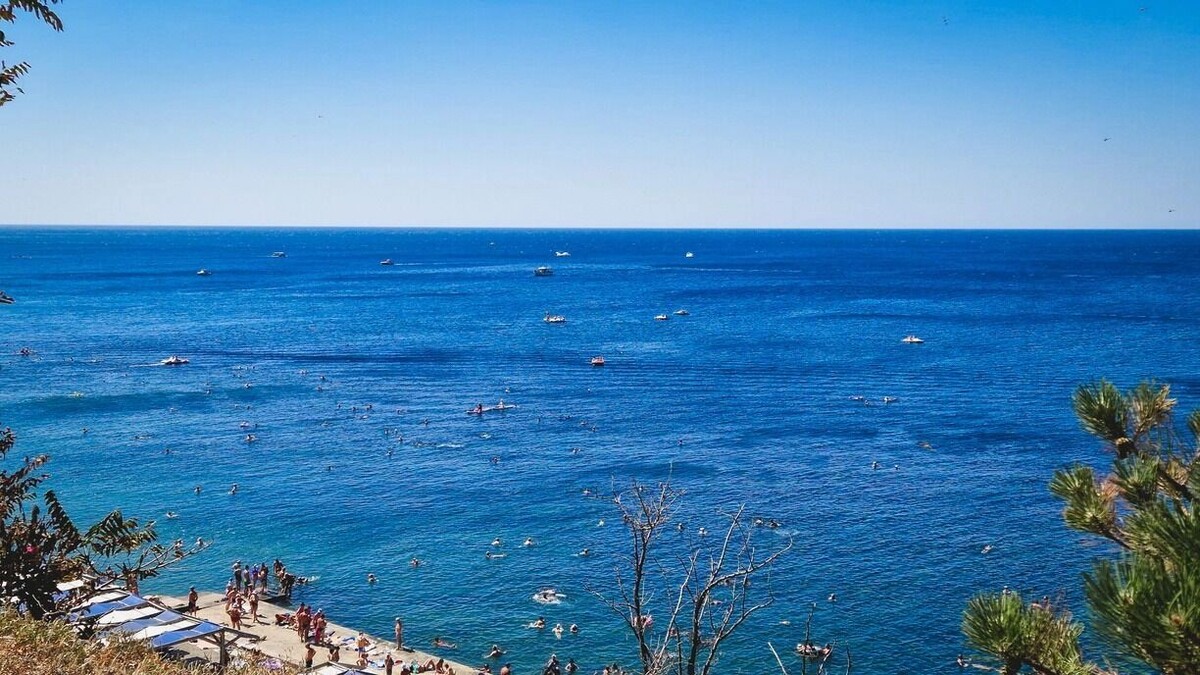     Источник: 1MI