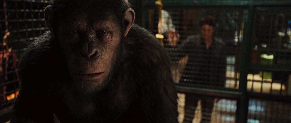 Кадр из фильма "Восстание планеты обезьян" (2011)