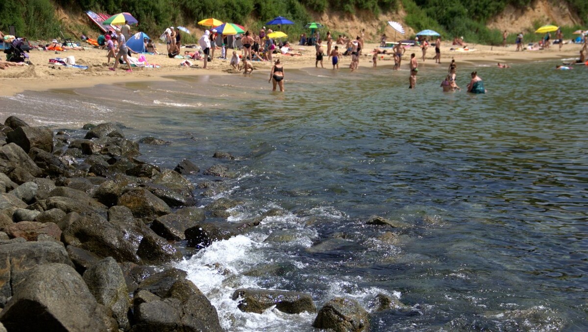     Источник: vostokmedia.com