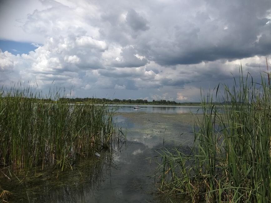    Дожди и грозы прогнозируют в ближайшие дни. Фото Анны Зубаревой
