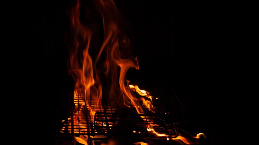    Фото: Svetlana Vozmilova/Global Look Press