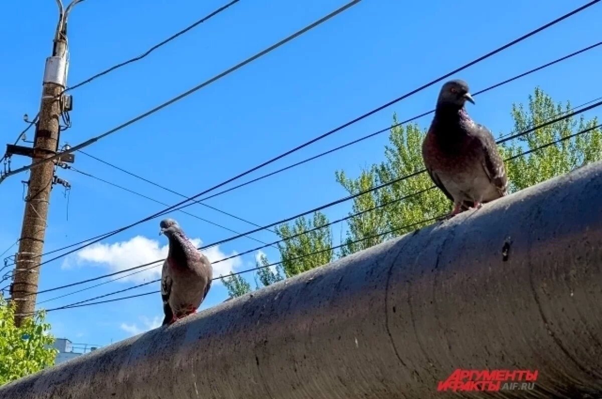    Не брать в руки.