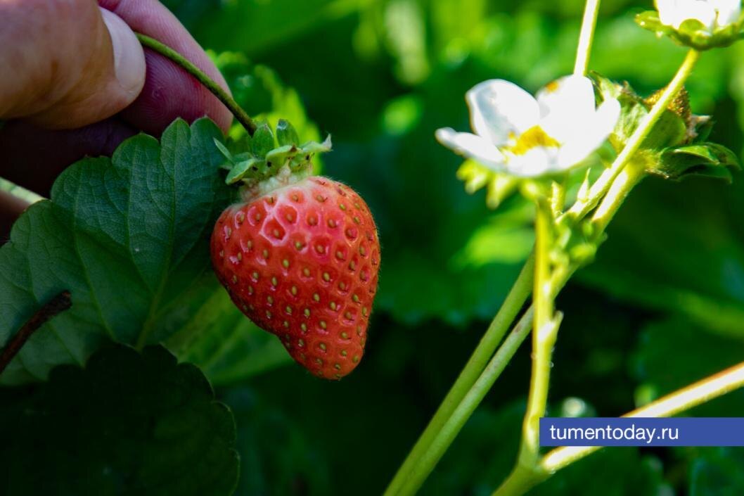  Фото Сергея Куликова