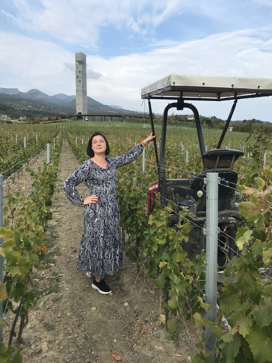 Виноградники Мрии