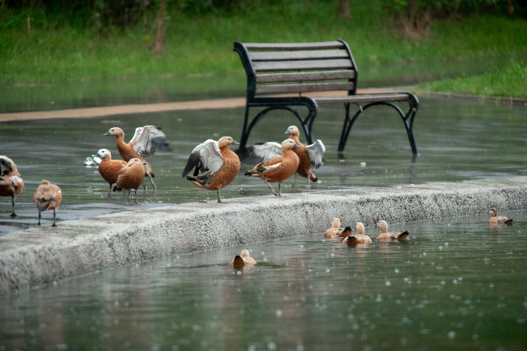    Фото: Юлия Федотова