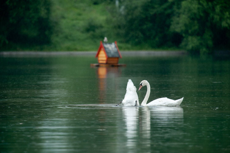 Фото: Юлия Федотова