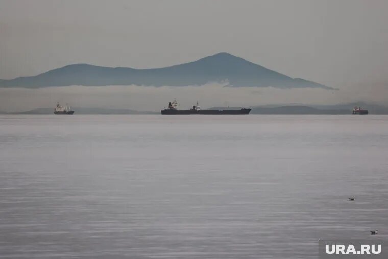 На Камчатке после землетрясения начали просыпаться вулканы. Фото: Владимир Андреев © URA.RU