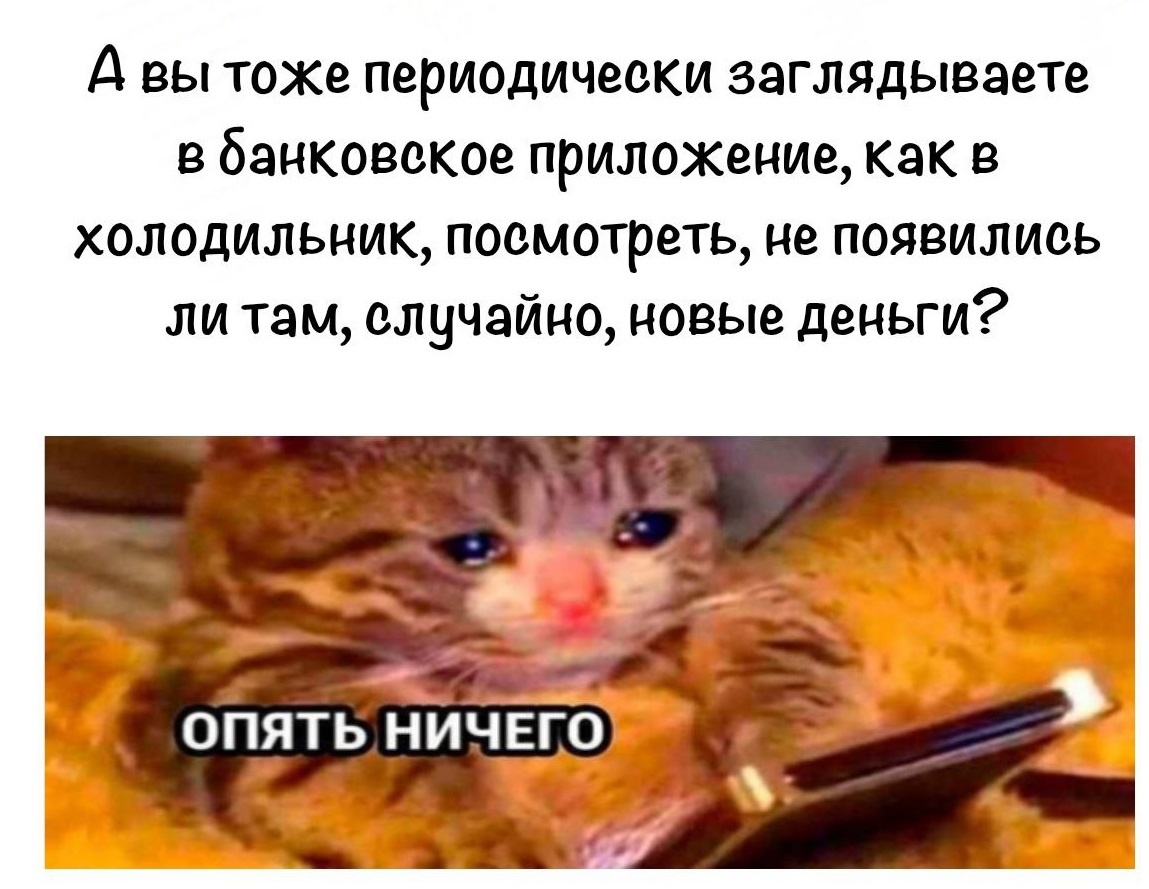 Телеграмм-канал "Психолог Жора" - картинка оттуда